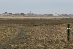wcb_Noerdernee_85