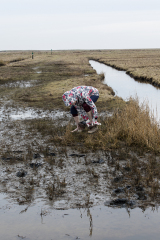 wcb_Noerdernee_87