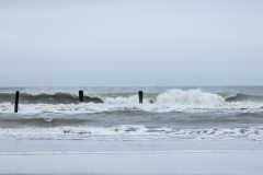 wcb_Noerdernee_125