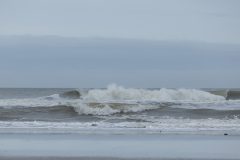 wcb_Noerdernee_136