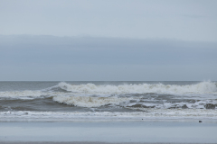 wcb_Noerdernee_137