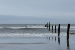 wcb_Noerdernee_138