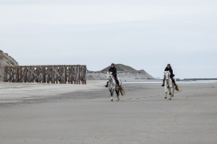 wcb_Noerdernee_141
