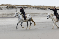 wcb_Noerdernee_142