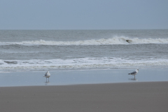 wcb_Noerdernee_146