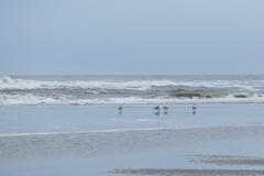 wcb_Noerdernee_148