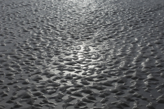 wcb_Noerdernee_157
