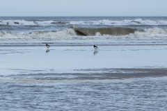 wcb_Noerdernee_161