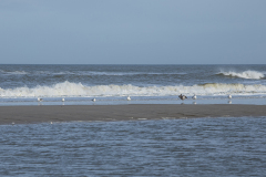 wcb_Noerdernee_165