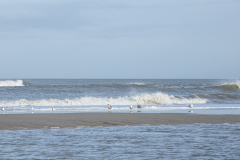 wcb_Noerdernee_166