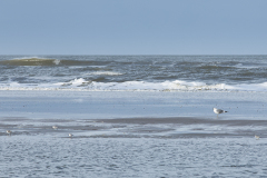 wcb_Noerdernee_167
