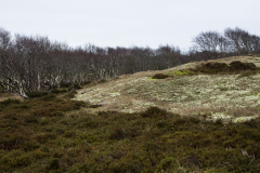 wcb_Noerdernee_173
