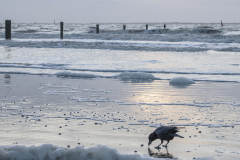wcb_Noerdernee_180