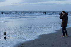 wcb_Noerdernee_181