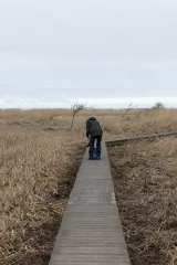 wcb_Rheiderland_002