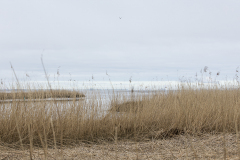 wcb_Rheiderland_006