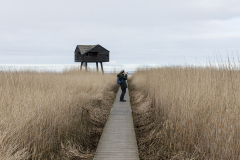 wcb_Rheiderland_008