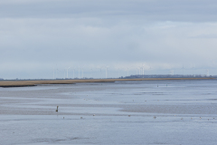 wcb_Rheiderland_014