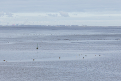 wcb_Rheiderland_015