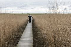 wcb_Rheiderland_024