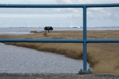 wcb_Rheiderland_025
