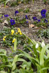 wcb_Rheiderland_042