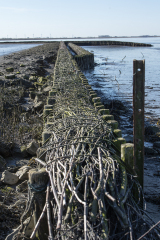 wcb_Rheiderland_051