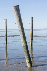 wcb_Rheiderland_052