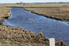 wcb_Rheiderland_056