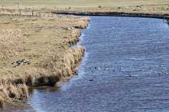 wcb_Rheiderland_058