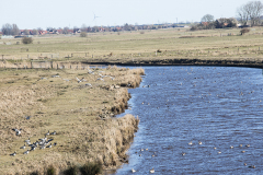 wcb_Rheiderland_059