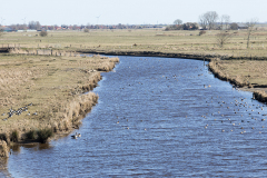 wcb_Rheiderland_061