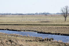 wcb_Rheiderland_063
