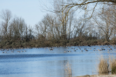 wcb_Rheiderland_078