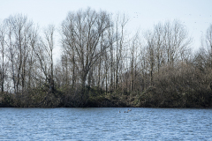 wcb_Rheiderland_084