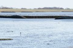 wcb_Rheiderland_087