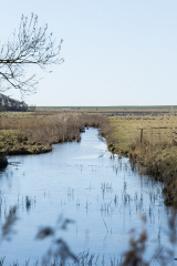 wcb_Rheiderland_091