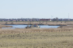 wcb_Rheiderland_097