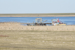 wcb_Rheiderland_099