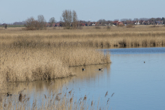 wcb_Rheiderland_100