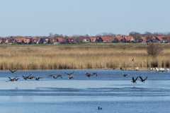 wcb_Rheiderland_103