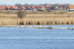 wcb_Rheiderland_104