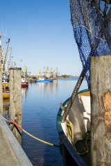 wcb_Rheiderland_106