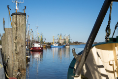 wcb_Rheiderland_107