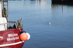 wcb_Rheiderland_108