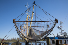 wcb_Rheiderland_109