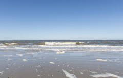 wcb_PferdeReiterinnen_01