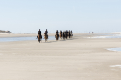 wcb_PferdeReiterinnen_02