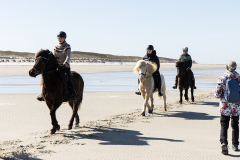 wcb_PferdeReiterinnen_04