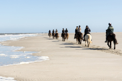 wcb_PferdeReiterinnen_05